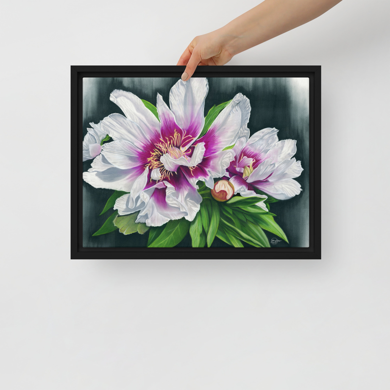 Peony Envy Framed Canvas