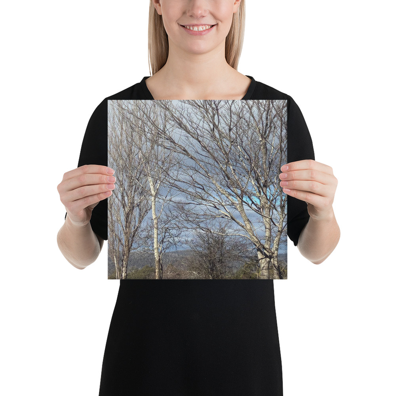 Hidden in Plain Sight Canvas Print – 12″×12″