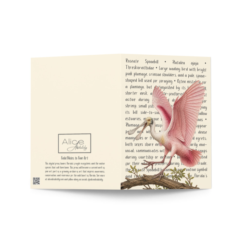 Roseate Spoonbill Greeting Card