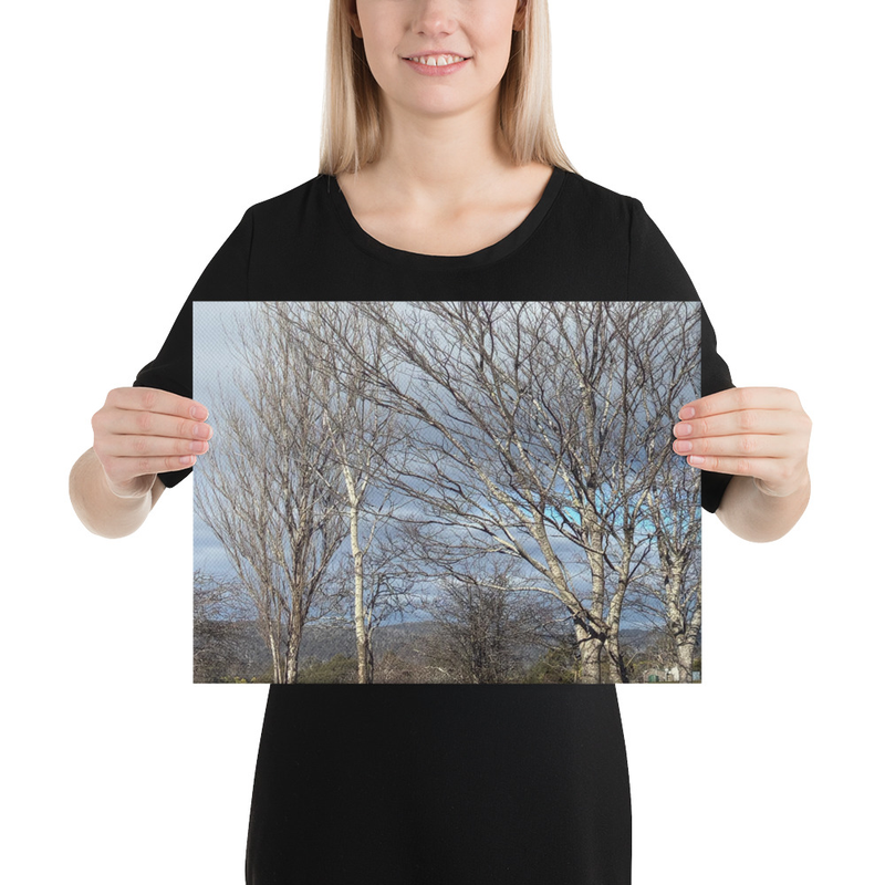 Hidden in Plain Sight Canvas Print – 12″×16″
