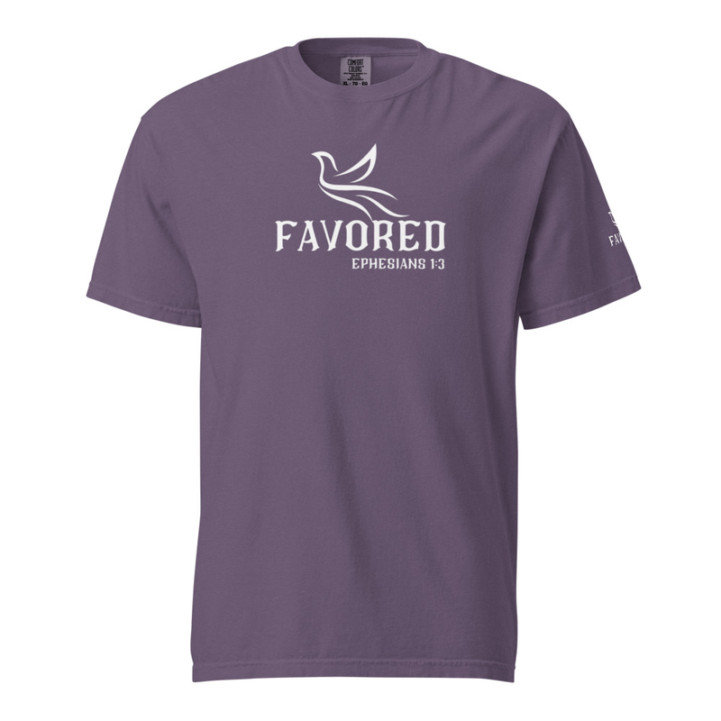 FAVORED Unisex garment-dyed heavyweight t-shirt – 2XL, Grape