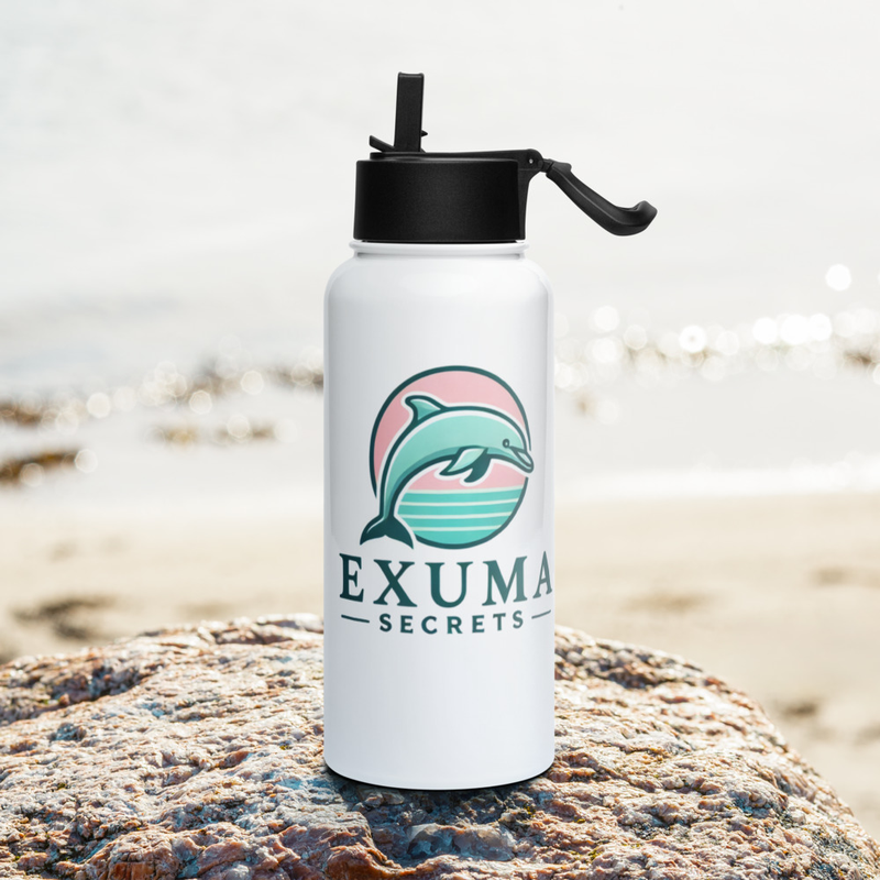 Dolphin Drift Stainless steel water bottle with a straw lid