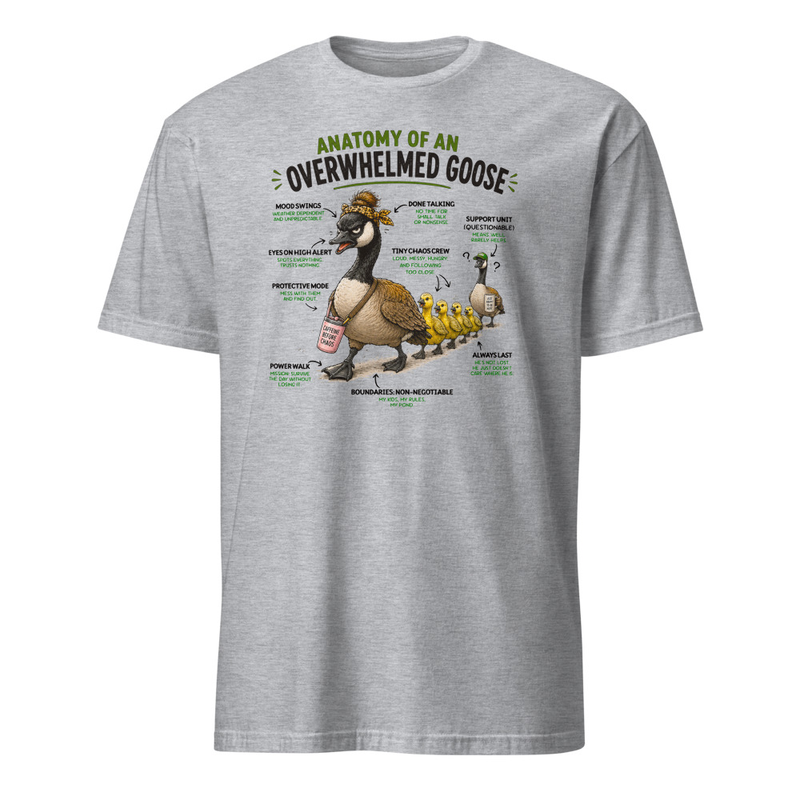 unisex-basic-softstyle-t-shirt-sport-grey-front-69f9a1d07dccf.jpg
