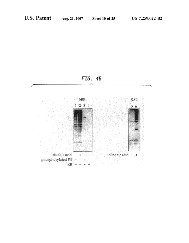 Patent US7259022 - Molecules in Harmony - default