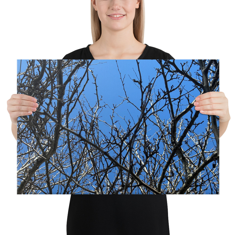 Branching Thoughts Canvas Print – 16″×24″