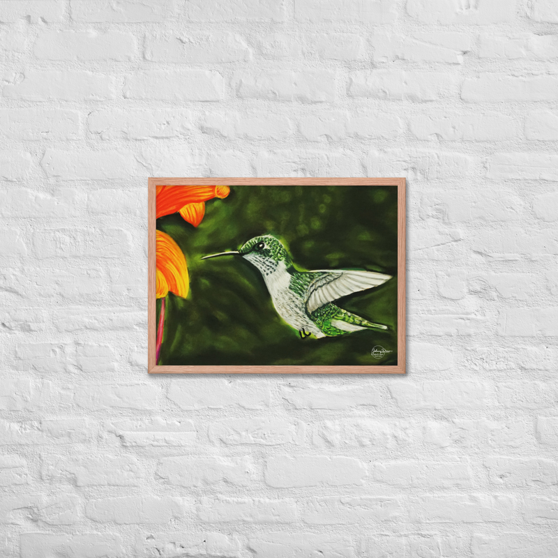 Hummingbird 1 Framed Print – 18″×24″, Red Oak
