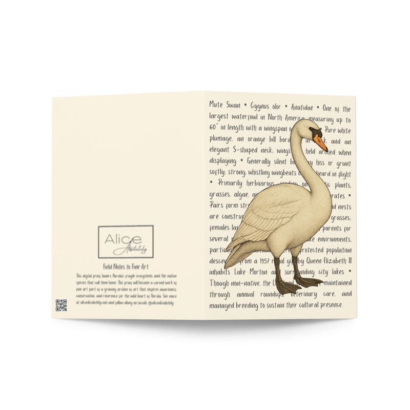 Mute Swan Greeting Card