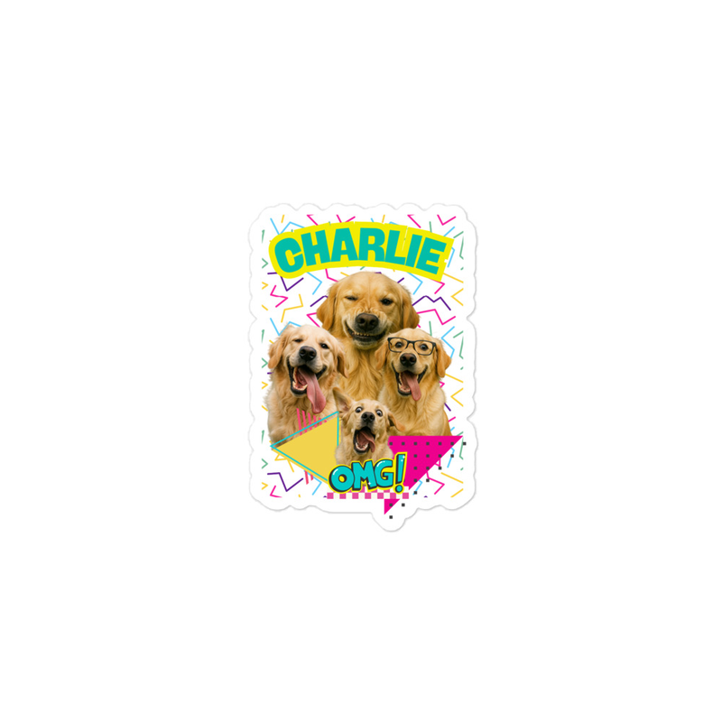 Retro Personalized Pet Party - Bubble-free stickers