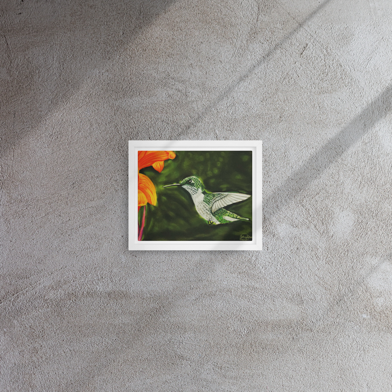 Hummingbird 1 Framed Canvas – Image 5