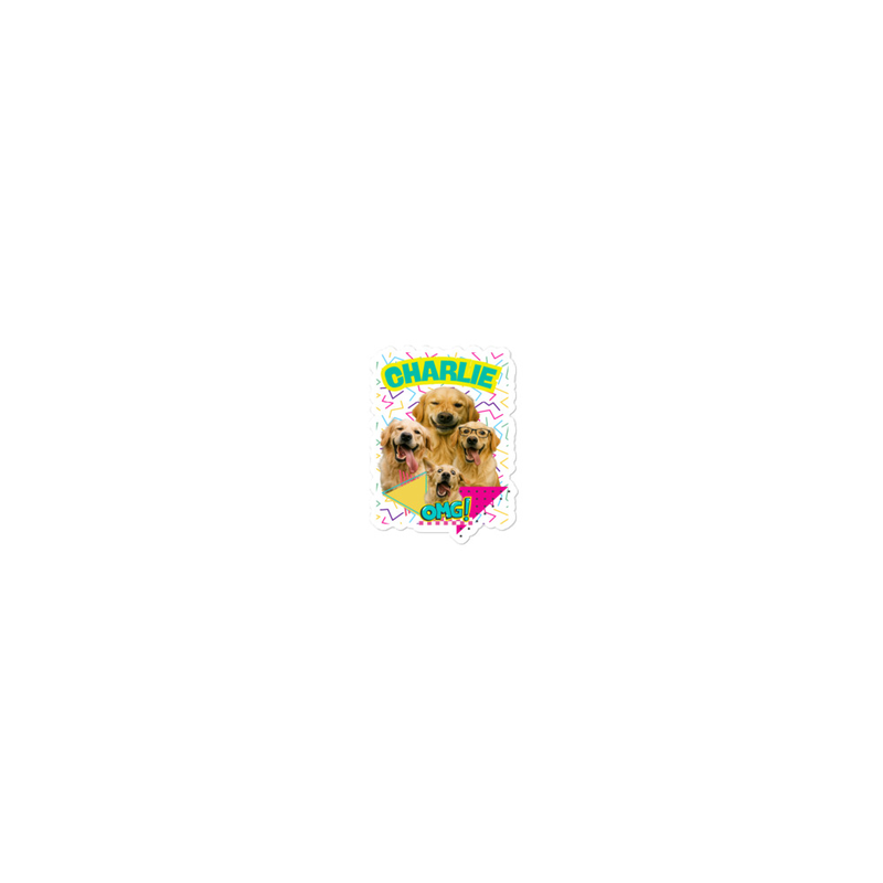 Retro Personalized Pet Party - Bubble-free stickers