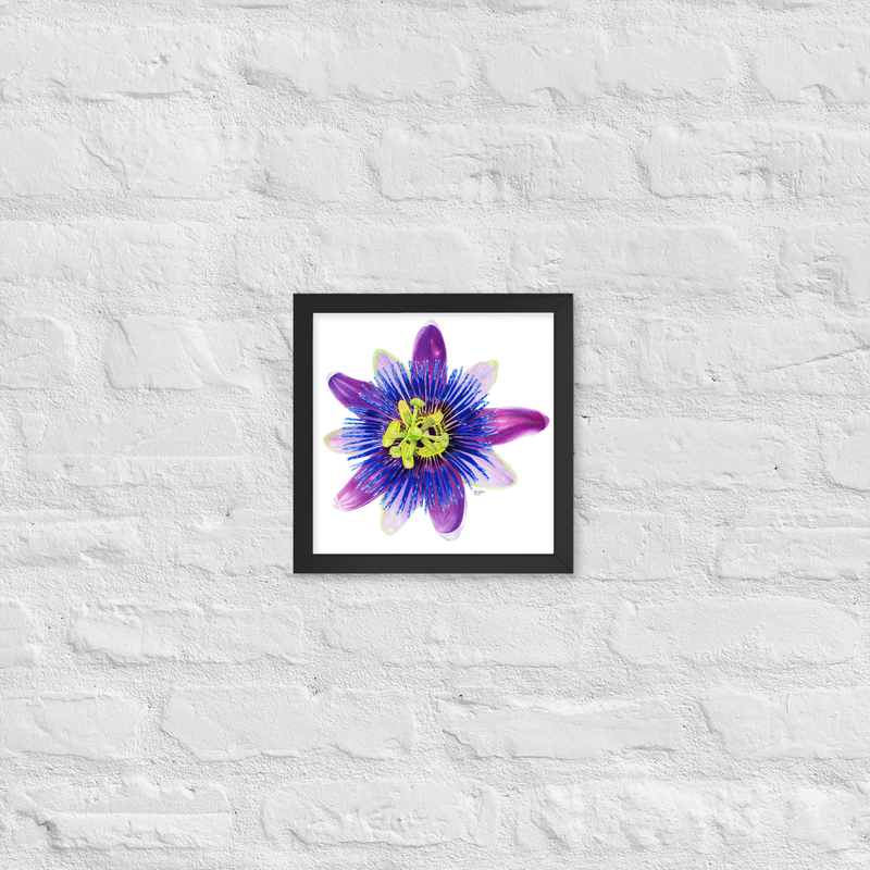 Passion For Life Framed Print