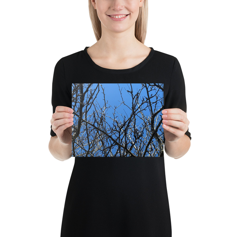 Branching Thoughts Canvas Print – 8″×10″