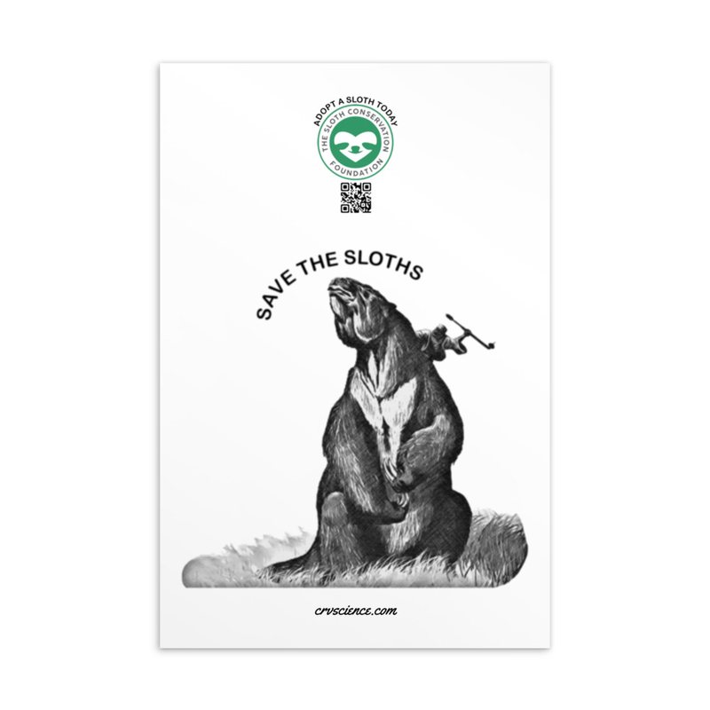 Save the Sloths (Adopt-a-Sloth) - Standard Postcard 4"x6"