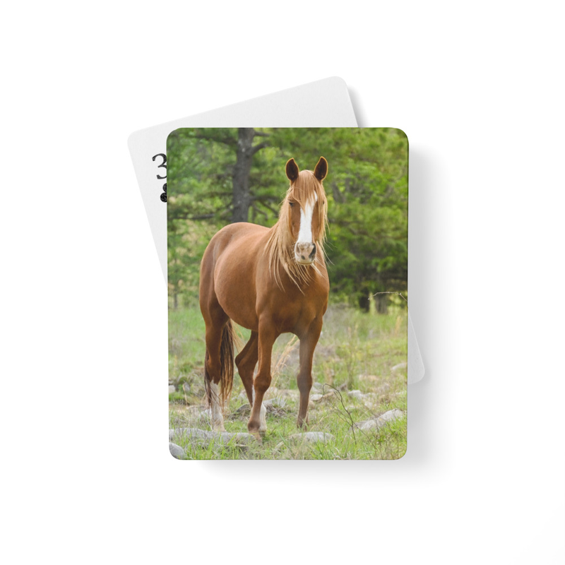 Horse playing cards