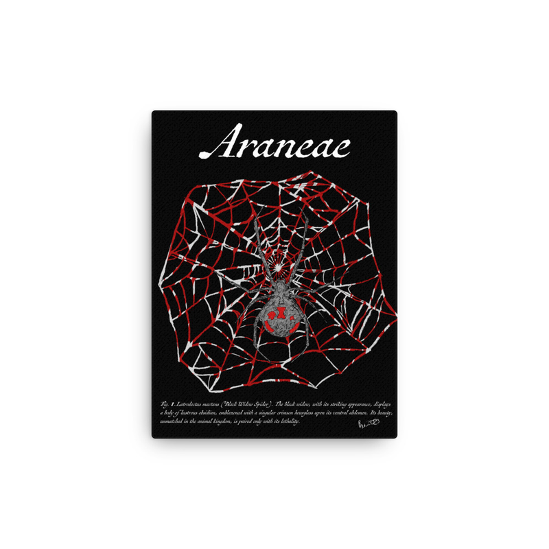 Fig. 1. Araneae (Black Widow Spider) - Thin Canvas Print