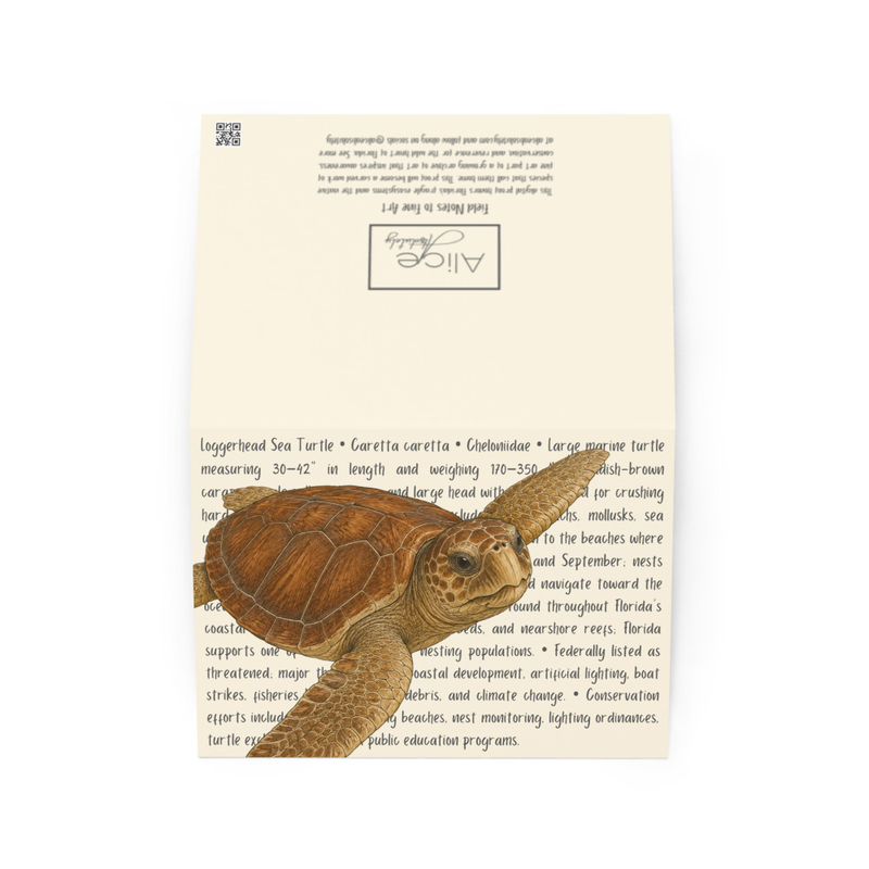 Loggerhead Seat Turtle Greeting Card