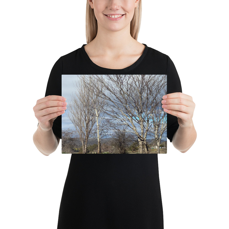 Hidden in Plain Sight Canvas Print – 9″×12″