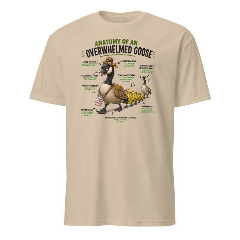 unisex-basic-softstyle-t-shirt-sand-front-69f9a1d06c236.jpg