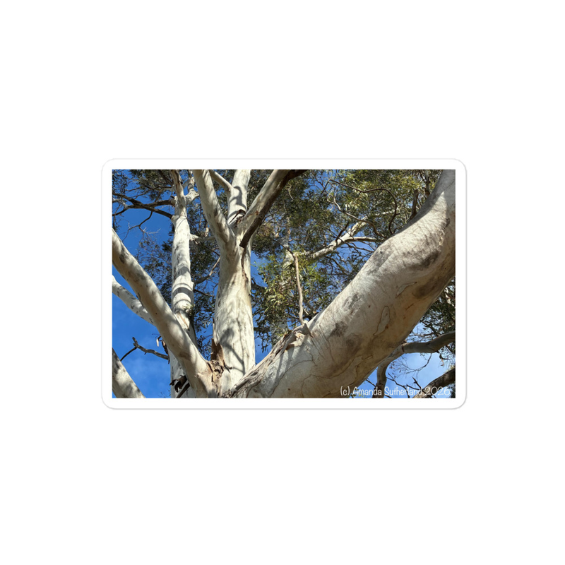 Choose Your Path Sticker – 4″×4″, White