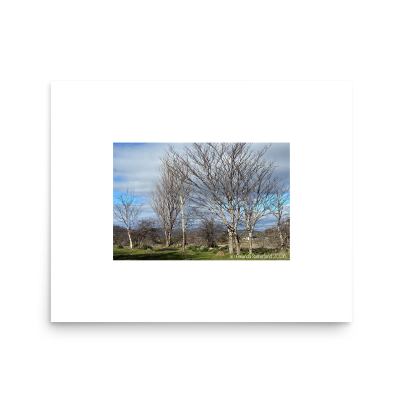Hidden in Plain Sight Poster – 16″×20″