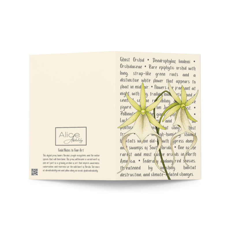 Ghost Orchid Greeting Card