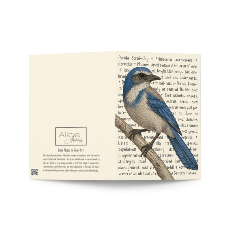 Florida Scrub Jay Greeting Card