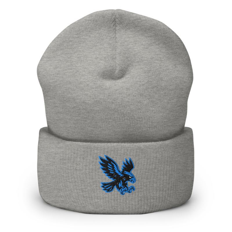 Minneapolis Warhawks - Cuffed Beanie – One size, Heather Grey