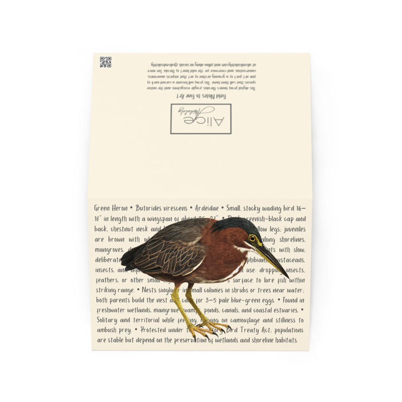 Green Heron Greeting Card
