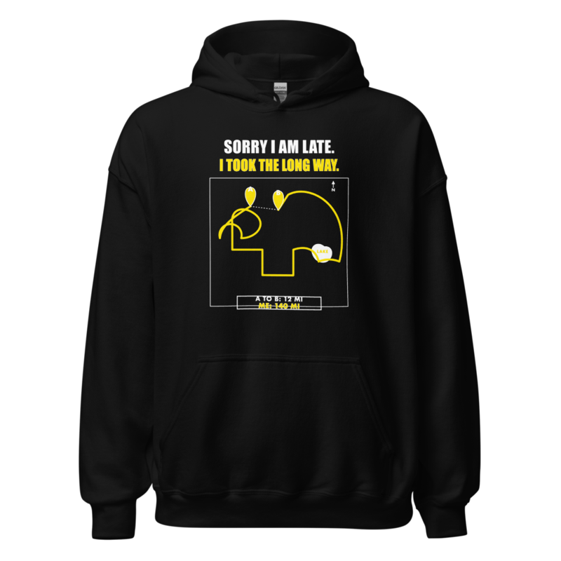 Sorry I Am Late. I Took the Long Way. Hoodie