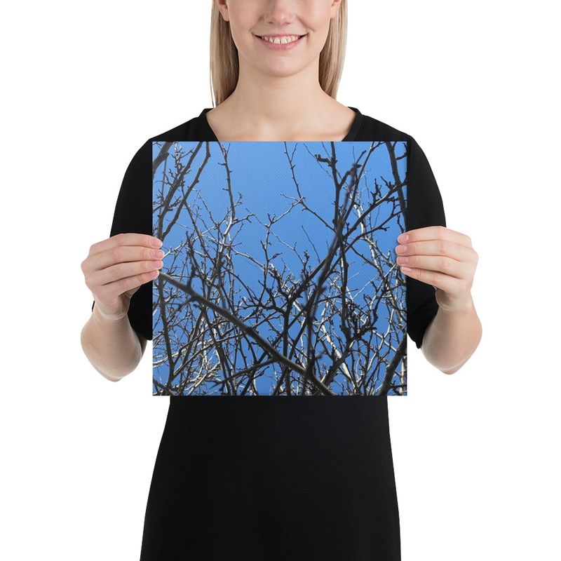 Branching Thoughts Canvas Print – 12″×12″