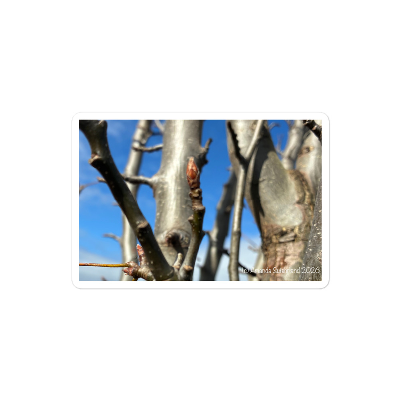 After the Cold Sticker – 4″×4″, White