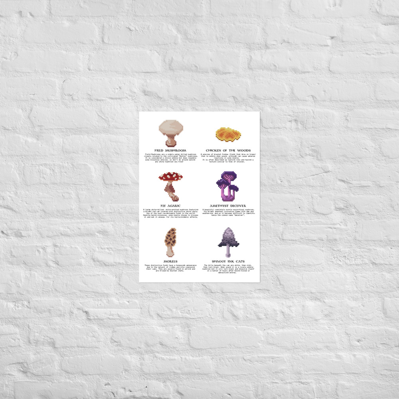 Single Mushrooms Poster