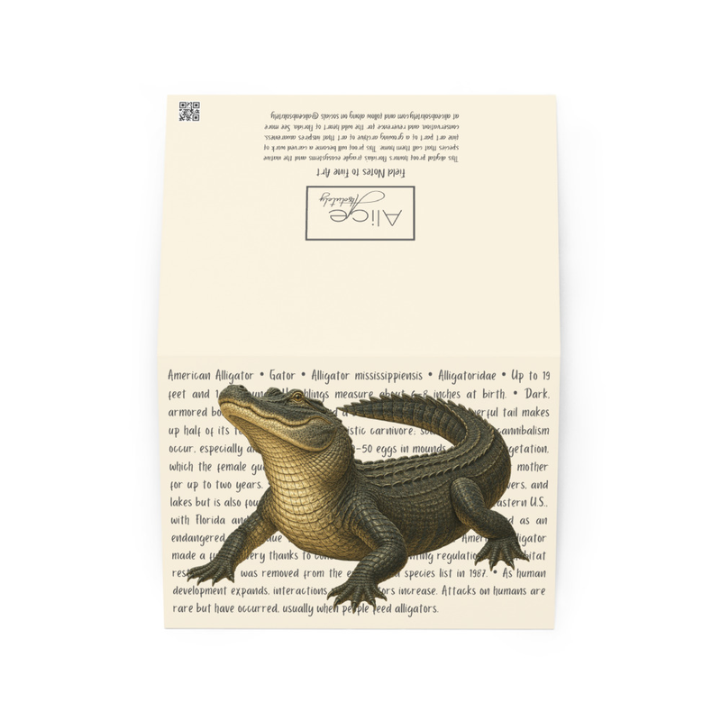 American Alligator Greeting Card