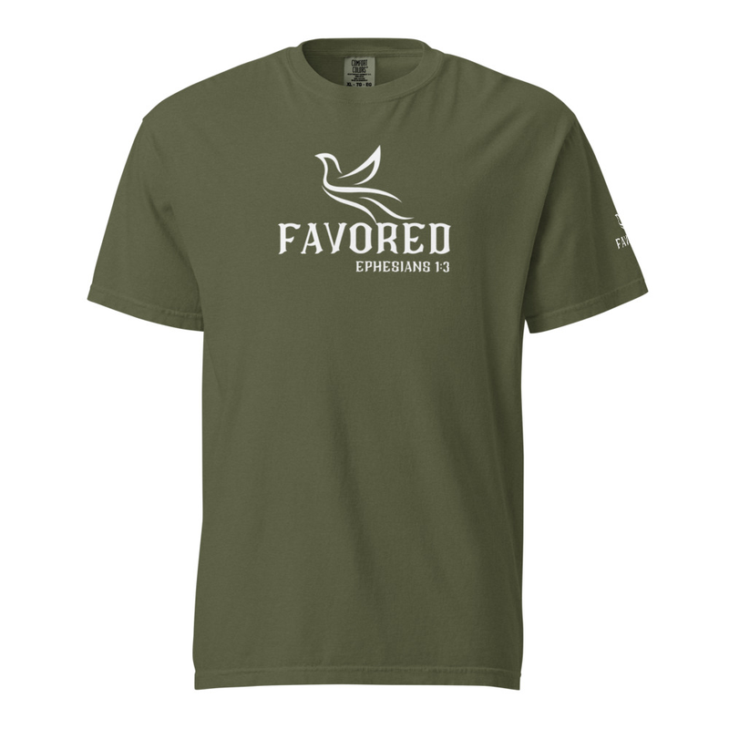 FAVORED Unisex garment-dyed heavyweight t-shirt – 4XL, Hemp
