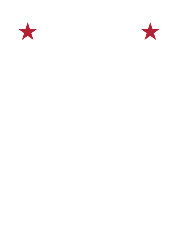 USA star heavyweight tee — Size: 2XL, Color: Granite