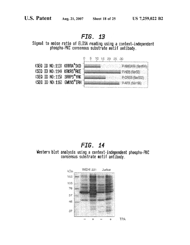 Patent US7259022 - Whispers in the Molecular Dance - default