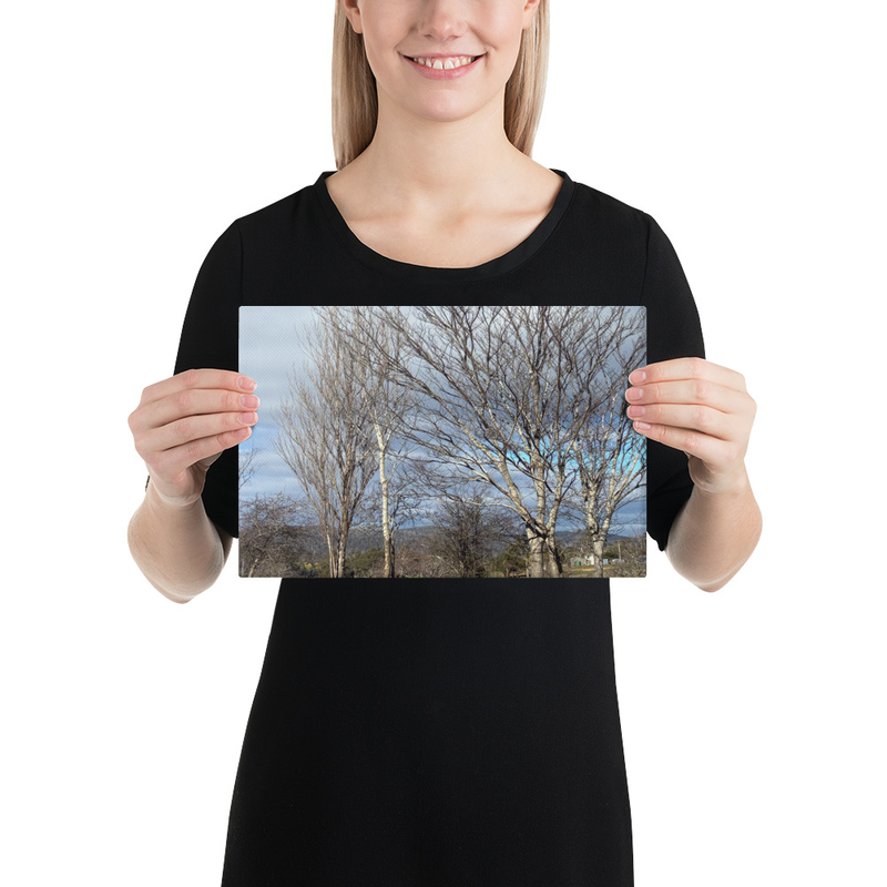 Hidden in Plain Sight Canvas Print – 8″×12″