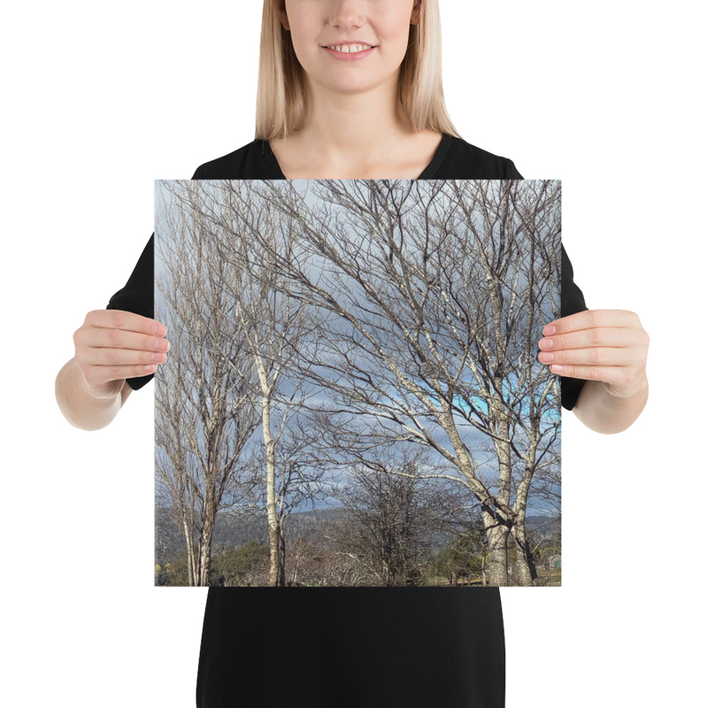 Hidden in Plain Sight Canvas Print – 16″×16″