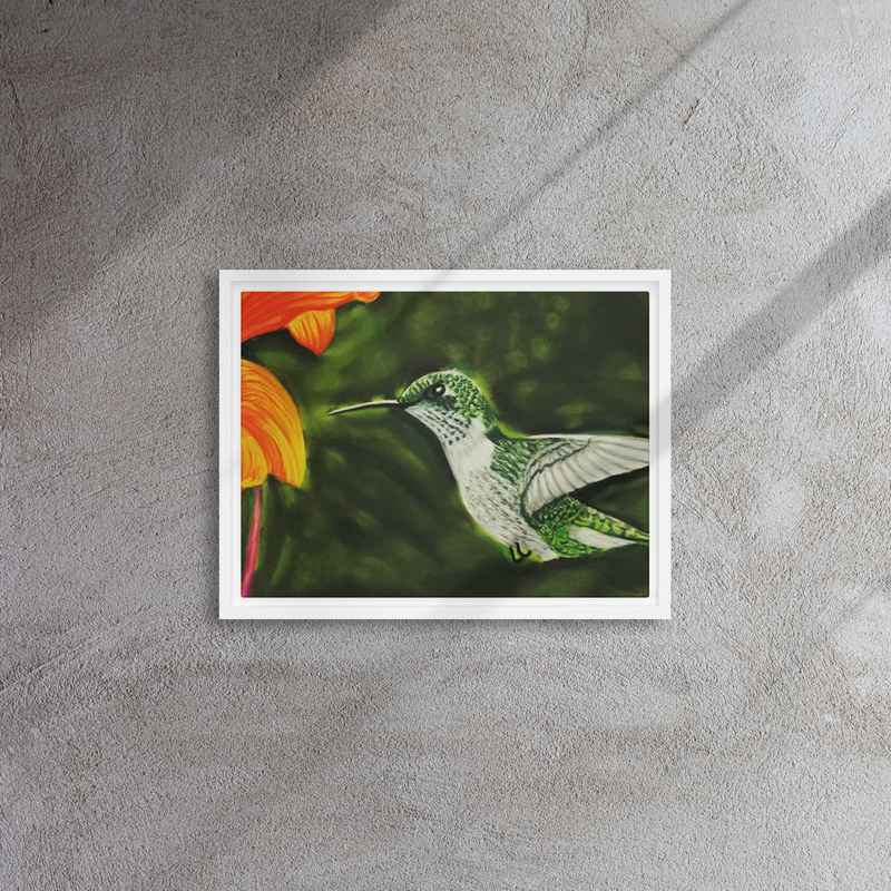 Hummingbird 1 Framed Canvas