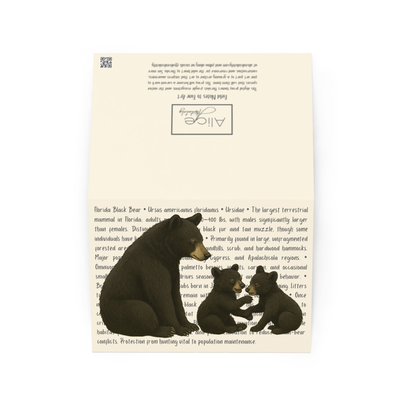 Florida Black Bear Greeting Card