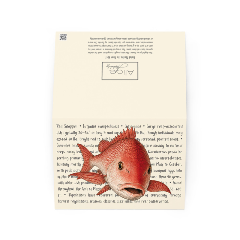 Red Snapper Greeting Card