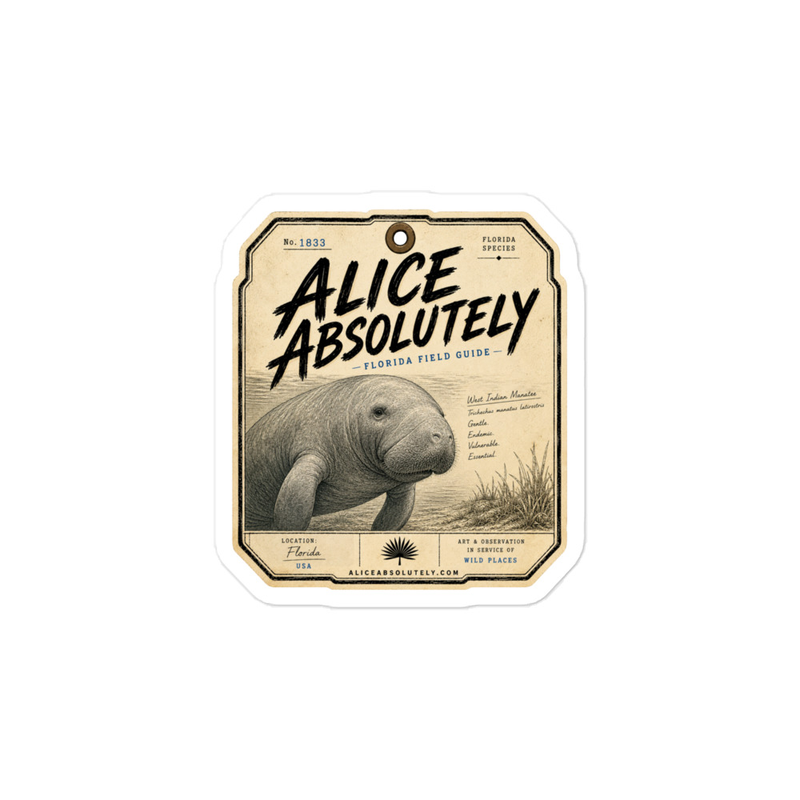 Manatee Vinyl Decal – 4″×6″, Satin