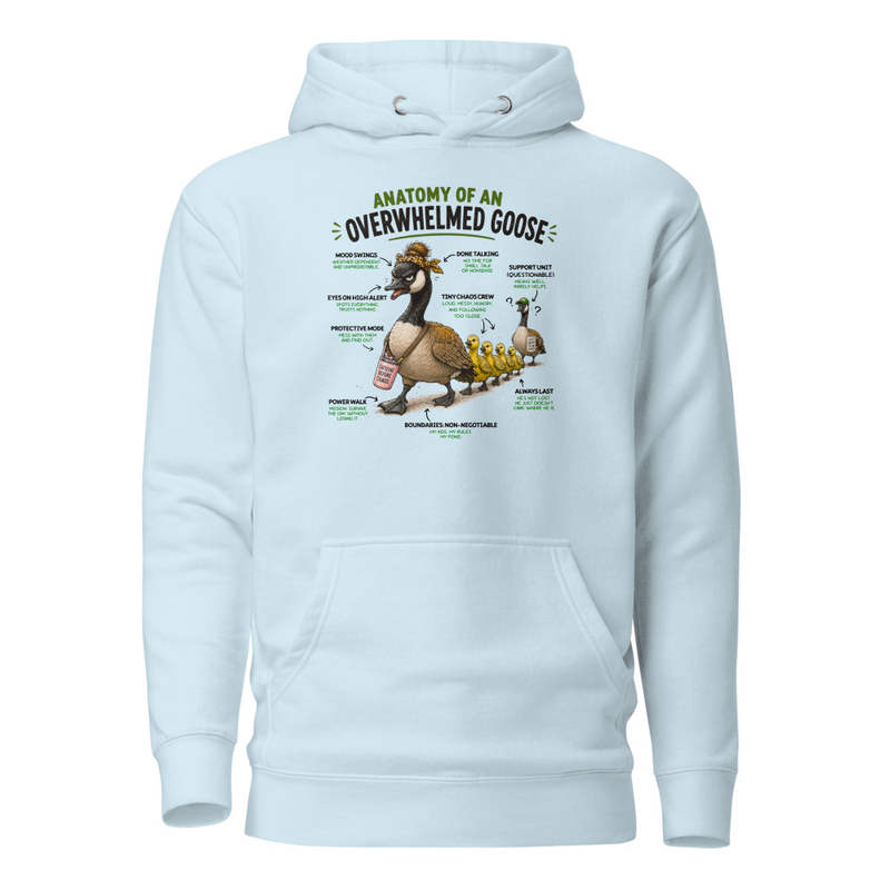 unisex-premium-pullover-hoodie-sky-blue-front-69f9a268d59ea.jpg