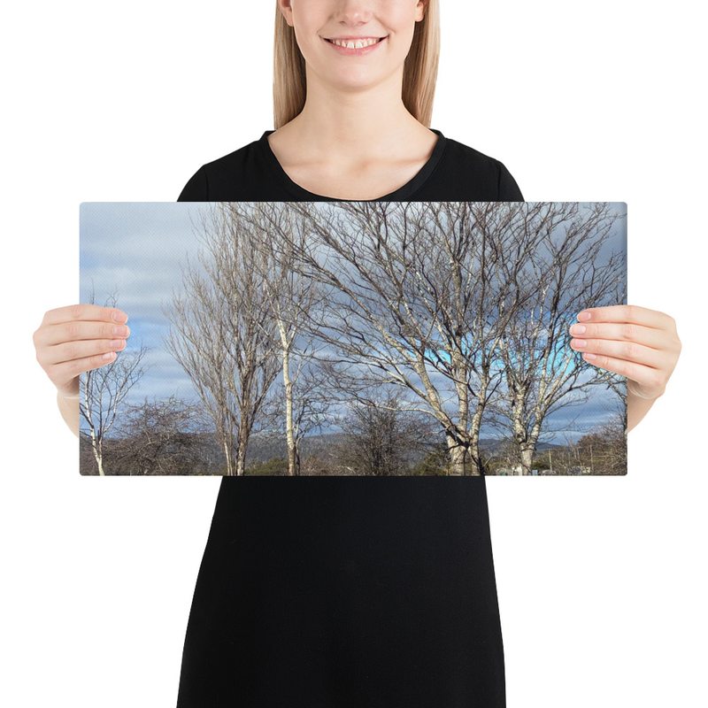 Hidden in Plain Sight Canvas Print – 10″×20″