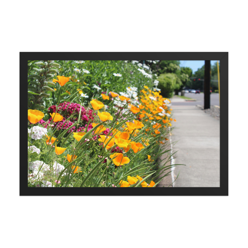Sidewalk Poppies - 12" x 18" Framed Photo Paper