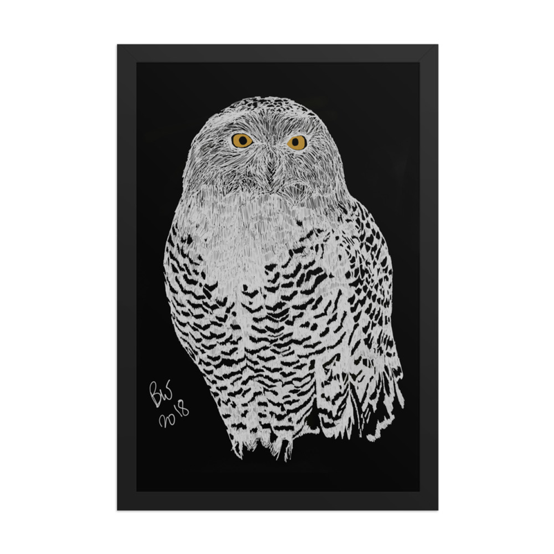 Snowy Owl (Bubo scandiacus) - 12" x 18" Framed Print