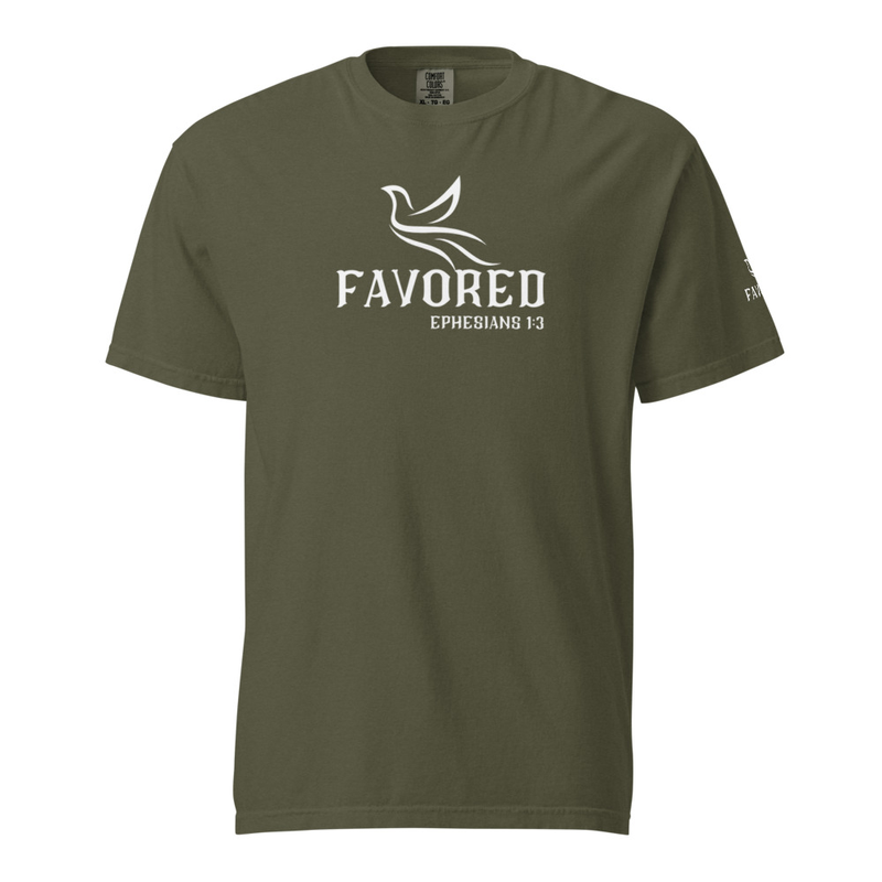 FAVORED Unisex garment-dyed heavyweight t-shirt – 4XL, Sage