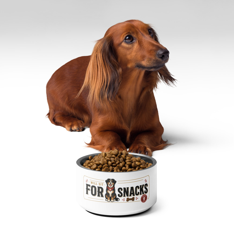 Will Sit for Snacks Bowl in White