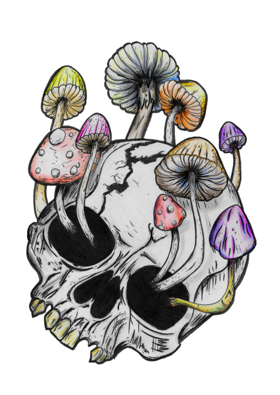 Shroom Hoodie — alternate view
