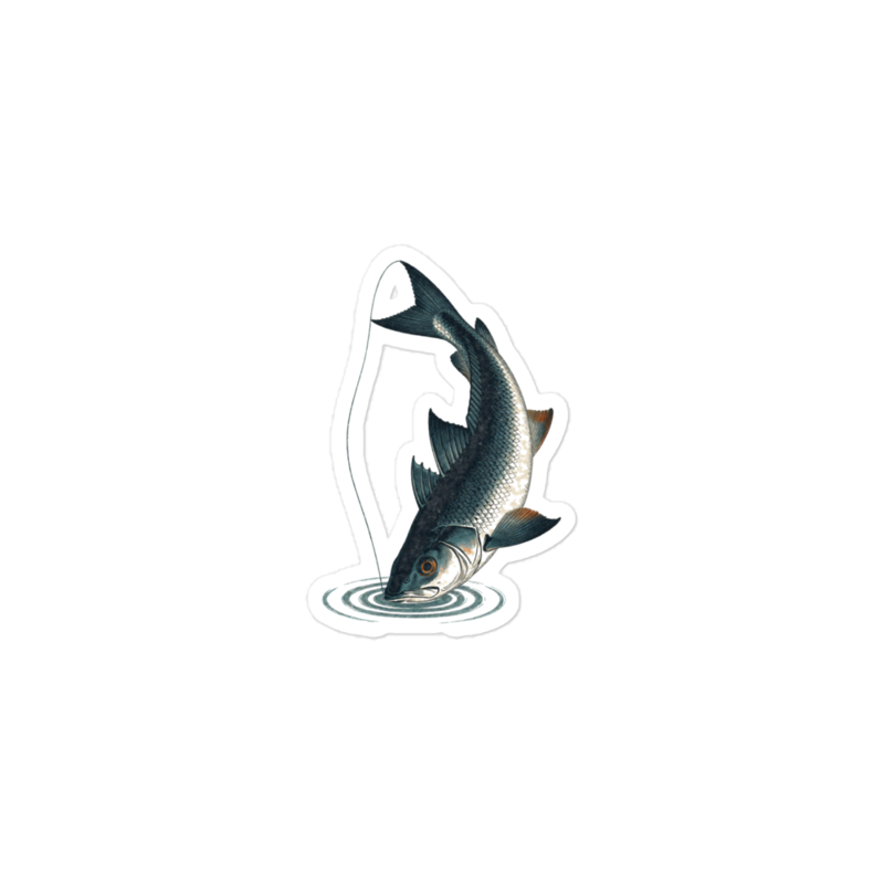 Catch and Release Sticker — Kayak Fishing merch